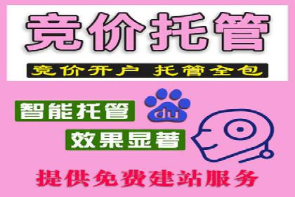 案例分析：成功SEM托管策略全解析